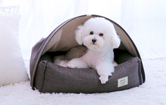 Pet tent