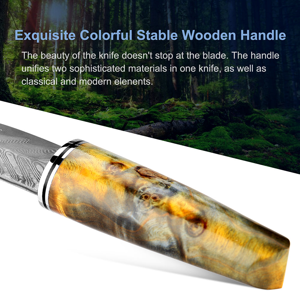 Damascus Steel Hand Handle Meat Knife Fruit Knife Outdoor Portable