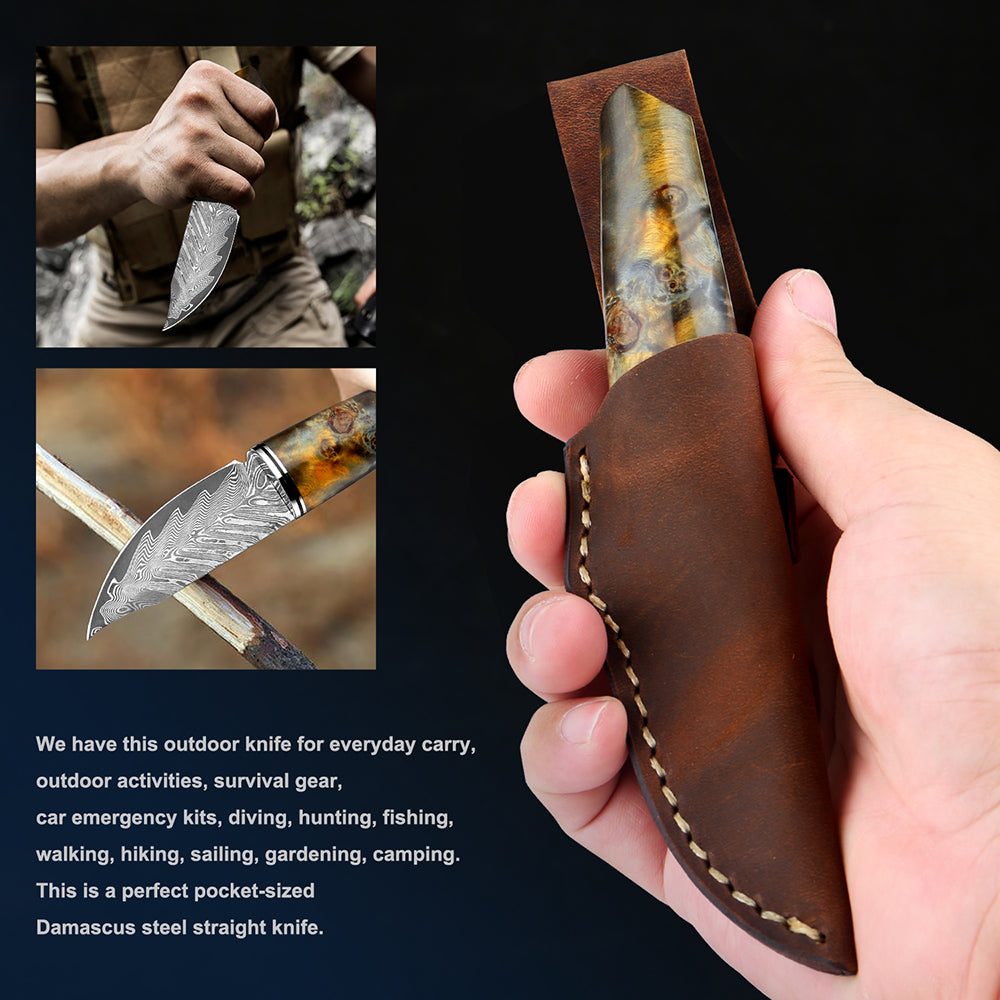 Damascus Steel Hand Handle Meat Knife Fruit Knife Outdoor Portable