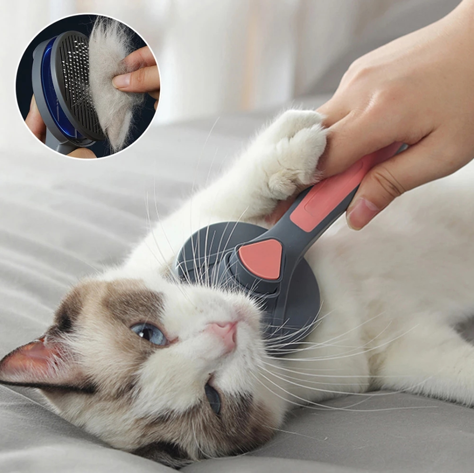 Easy To Clean Pet Comb & Brush